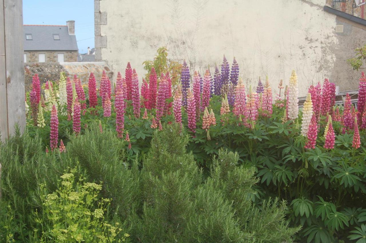 Pleubian L'Abri Du Sillon Bed & Breakfast エクステリア 写真
